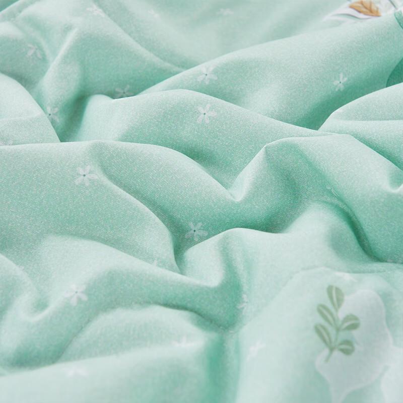 Jeliya Soft & Fresh All-Season Washable Quilt