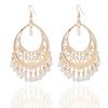 Fashion Retro Celebrity Temperament, Hollow Water Drop Rice Bead Fringed Earrings, Chain Fringed Earrings E92