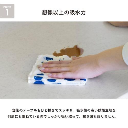 Transparan Japanese-Made Mosquito Net Fabric Dishcloths, Set of 6, Magokoro Dishcloths, True Square Pattern, 7-Ply, Made In Nara Prefecture, Quick-Dry