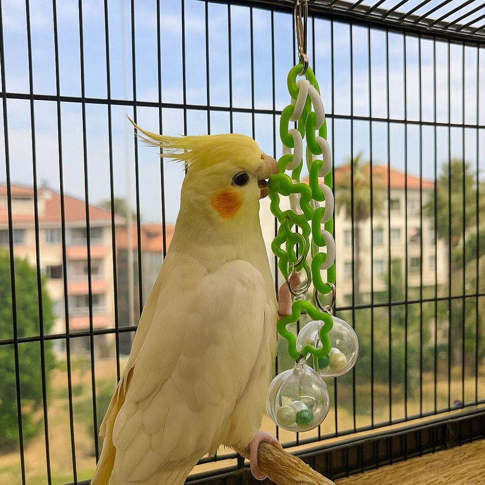 Bissfester Papageien Hängeball Transparenter Ball mit Glöckchen Vogel Kauspielzeug Bunt Vogel Vogelkäfig Kletterleiter Interaktiv