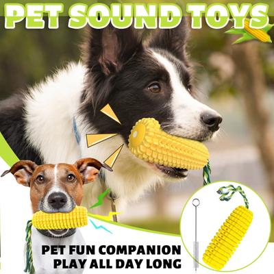 Cani – Giocattoli per cani