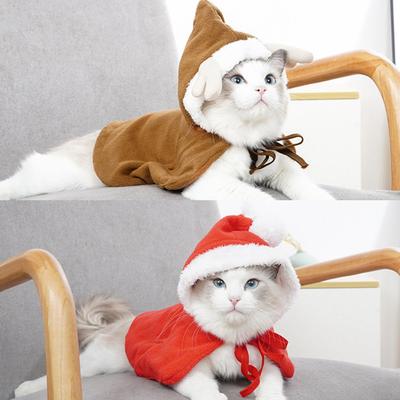 Kedi – Kediler için giyim