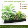 Artificial Green Plant and Flower Display with Banana Fan Palm