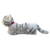 Sun Lemon Lap Cat Plush Toy Medium Gray