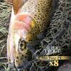 Varivas Super Trout Advance Max Power PE x8 (20.2