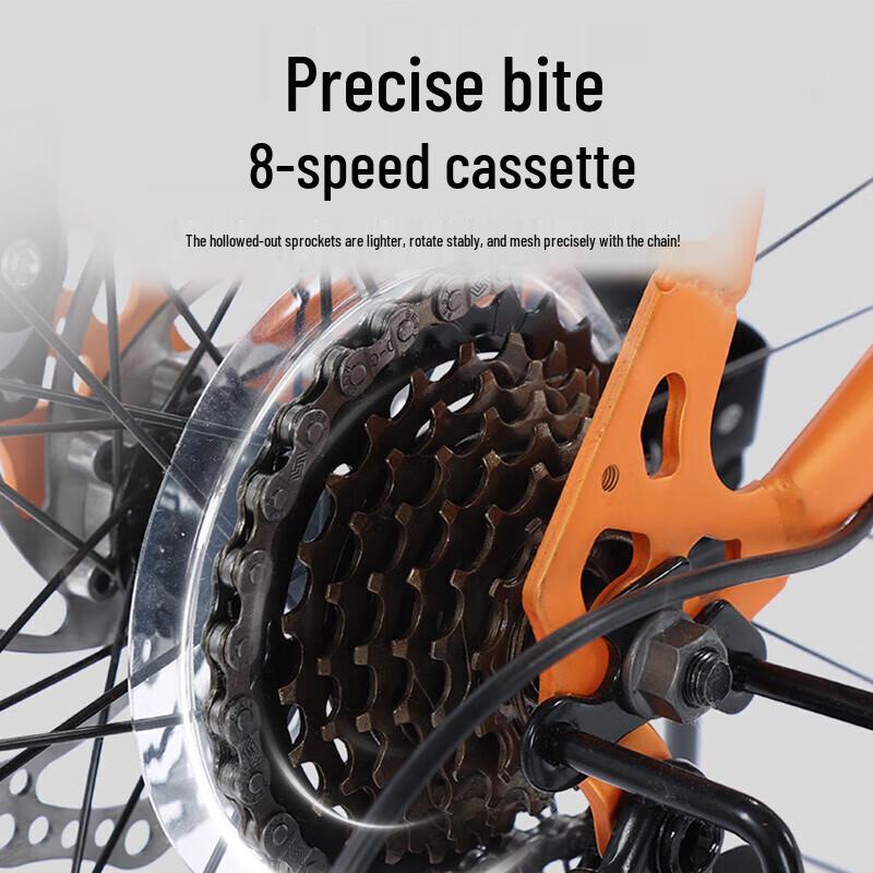 Phoenix ZB888 Disc Brake Mountain Bike