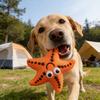 Bola de Morder para Cães em Forma de Estrela de TPR Resistente à Mordida Brinquedo para Pet com Textura para Dentição e Apito Brinquedo Interativo para Remoção de Tártaro para Raças Pequenas e Médias