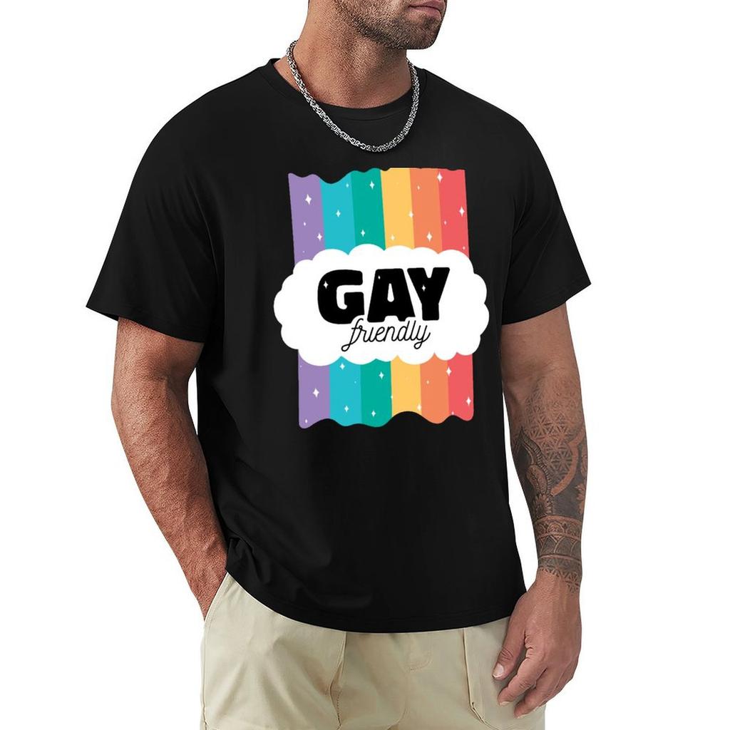 GAY FRIENDLY T-Shirt graphic t shirt vintage graphic shirts designer t shirt men