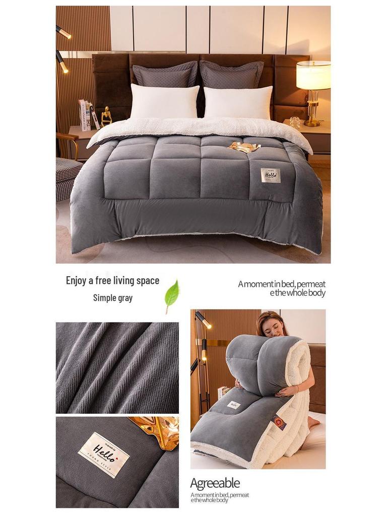 Double-Sided Lambswool Fleece Quilt: Thick, Warm Comforter for Winter, Spring, and Autumn