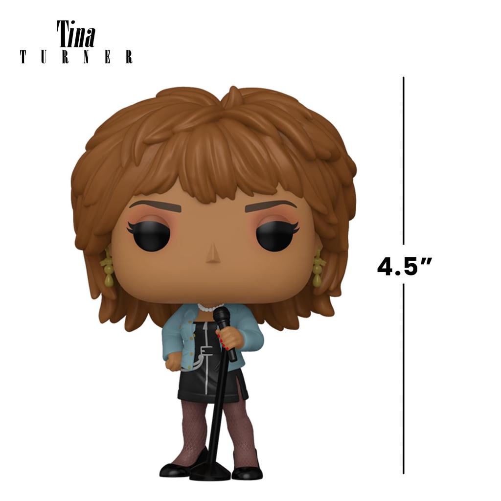 Funko Tina Turner What Love Got to Dowith It Collectible Vinyl Figure Gift Idea Official Product Kids Adult Toy Music Fan Figure for Collector and