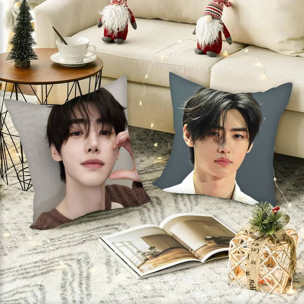 Federe fodere cuscini divani soggiorno decorazioni per la casa regali Park S-ung-hoon Cantante Pop