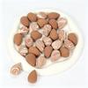 Mini Makeup Sponges 30/40Pcs Wet Expandable Latex-Free Beauty Blenders Suitable for All Skin Types Cosmetic 