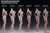 OBEST TBLeague Escala Figura Femenina Sin Costuras Mediana Piel Blanca 1/6, PLMB2017-S18A, Figura Ultra-Flexible, Busto,