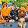 1Pc Cute Pet Dog Cosplay Clothes Lion Mane for Dog Costumes Realistic Lion Wig for Medium To Large Dogs with Ear Pet Accessories