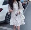 1116 Spring New Small French White Dress Children's Design Sense Niche Long-sleeved A-shaped Shirt Skirt