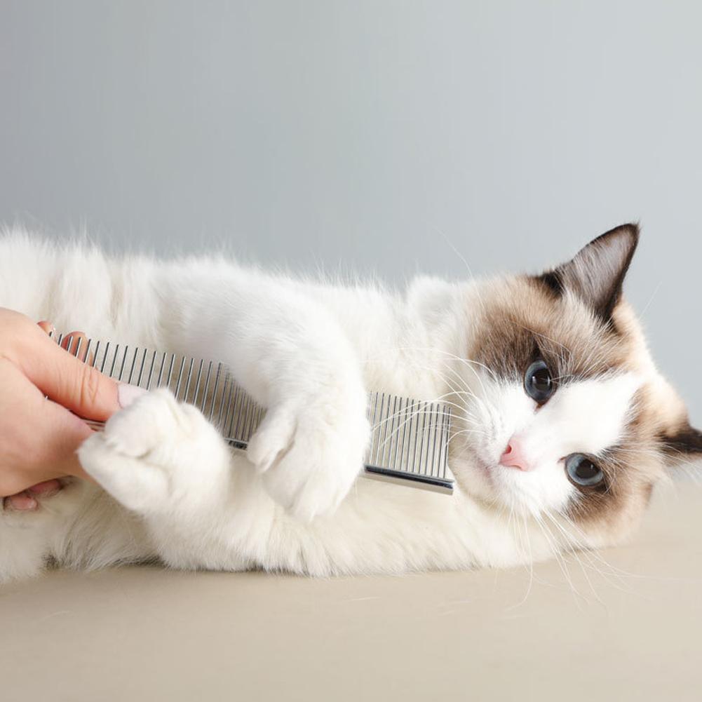 Set da 4 Pezzi Kit per la Pulizia e la Cura Quotidiana degli Animali Domestici Capelli Gatto Unghie Forbici Ago per Capelli Pettine Strumento per la Toelettatura