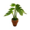 Realistic Greenery Plant Miniature Houseplants Desk Decorations For Home Office Coffee Shop Workspaces Scene Setting