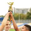 Martial Arts Gold Trophy Awards Plastic Model Winner Award Trophy Toy  for Team Competition
