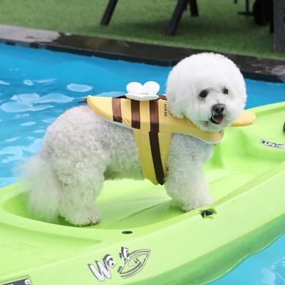 Costum de baie de vară Albinuța pentru câini, impermeabil, vestă de salvare pentru cățeluși, haine respirabile pentru câini, ham, siguranță pentru înot pentru câini, accesorii pentru animale de companie