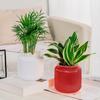 Self Watering Pots for Indoor Plants Clear Plastic Wicking Flower Pot Modern Decorative Planter