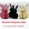 Easter Bunny Honeycomb Set: Eco-Friendly European & American Party Rabbit Hanging Ornament