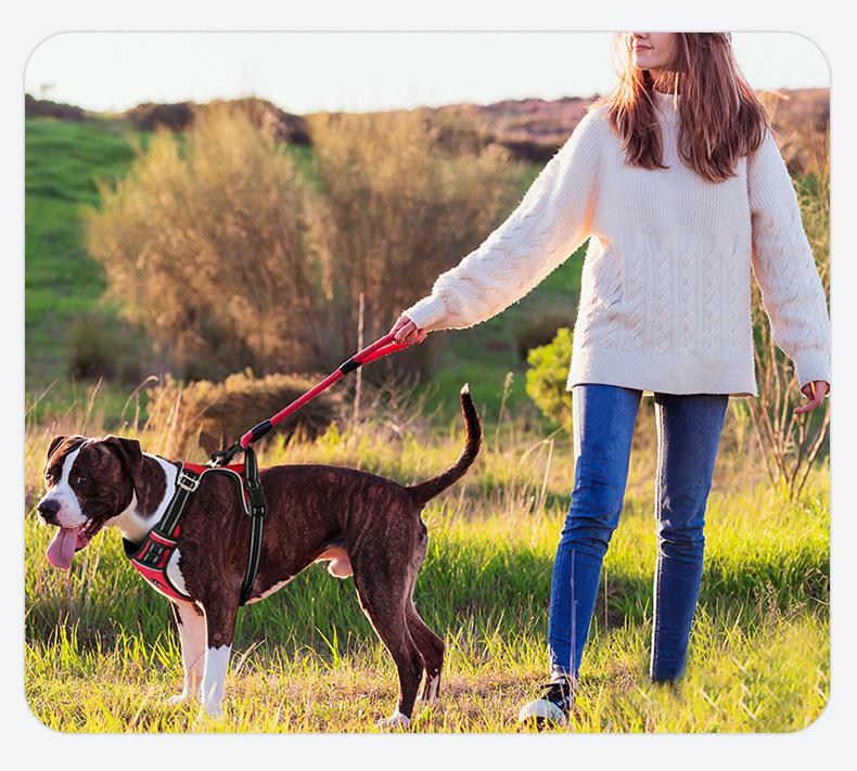 Explosion-Proof Reflective Dog Harness for Medium & Large Dogs - Breathable Oxford Cloth Vest with Leash