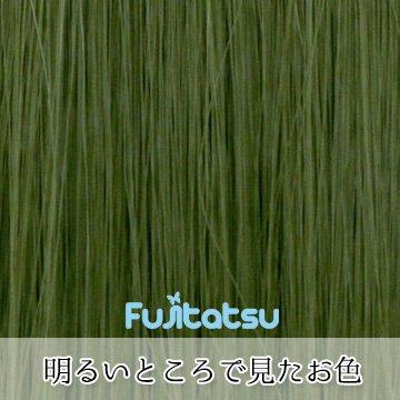Fujitatsu Natural Hairline, Hand-Tie Front Lace, Heat-Resistant Cosplay Wig, Slicked-Back, Green, Moss Green (T2609) AL45-T2609