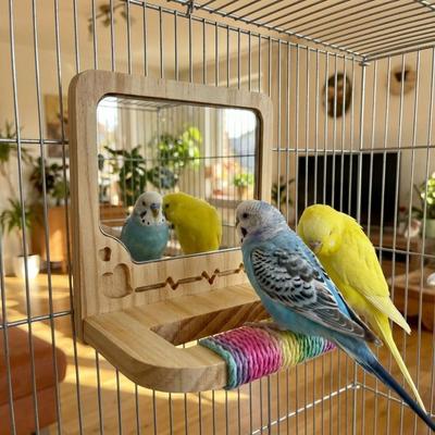 Anti-slip Wood Bird Training Stand Interactive Parrot Biting Rod  Bird Cage Accessories