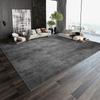 Nordic Living Room Large Area Carpets Home Decoration Bedroom Bed Blanket Casual Rugs Sofa Tea Table Carpet Area Carpet