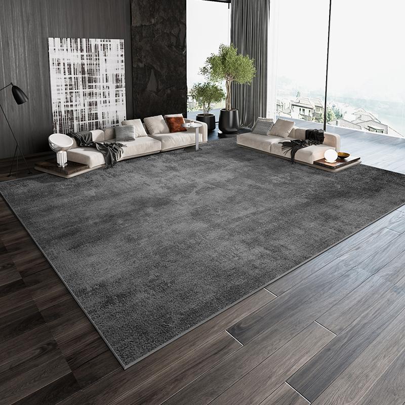 Nordic Living Room Large Area Carpets Home Decoration Bedroom Bed Blanket Casual Rugs Sofa Tea Table Carpet Area Carpet