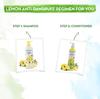 Mamaearth Lemon Ginger Anti Dandruff Shampoo For Itchy Scalp – Soothes Flakes & Irritation – Safe For Men & Women – 400ml
