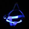 LED Dog Harness Chest Leash (S/Blue)