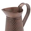 Country Living Watering Can - Jug Style