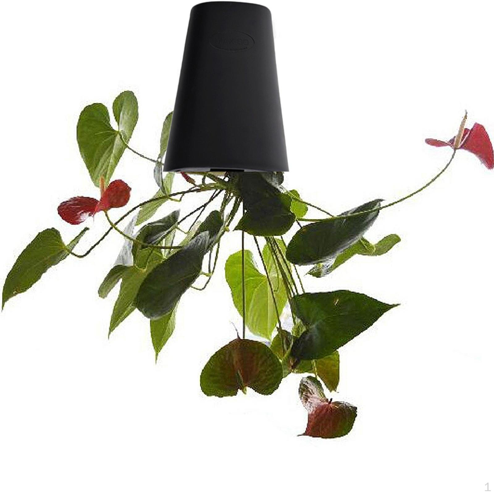 

Декоративная подвесная корзина для перевернутой экспозиции растений