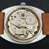ALLWYN 6300A HAND-WINDING INDIA MENS VINTAGE ORIGINAL DIAL WATCH A706106-1