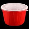 Disposable Takeout Food Container