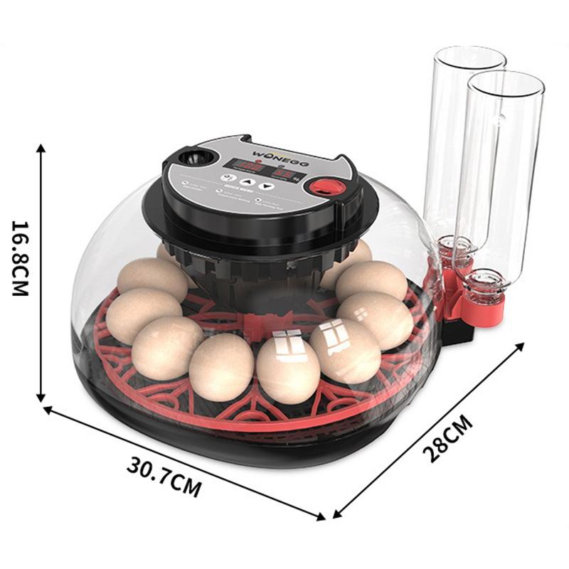 

12 Eggs Chick Hatcher Equipment LED Lighting Egg Hatching Transparent Lid Fully Automatic Egg Incubator Chicken Farm Supplies