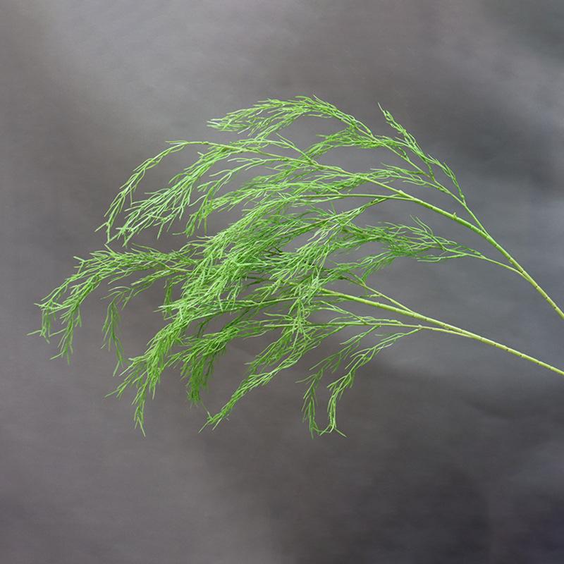 Asparagus Fern & Willow Buds Greenery for Wedding Decor & Landscaping
