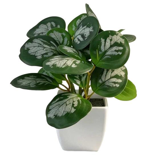 Desktop Ornament Home Decor Ring Plastic Green 1 Pc