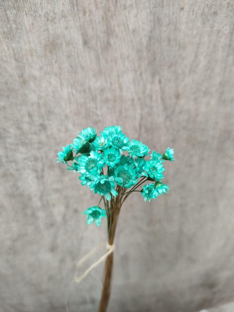 Dry Flower Wedding Party Essential Decorations For Home Home Décor Accents DIY-friendly Pressed Flowers For Party Floral