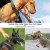 Heavy-Duty Dog Leash and Collar for Medium and Large Dogs
