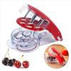 Creative Fruit Corer Seed Removal Olive Pits Tools Portable Cherry Pitter  Cherry Core
