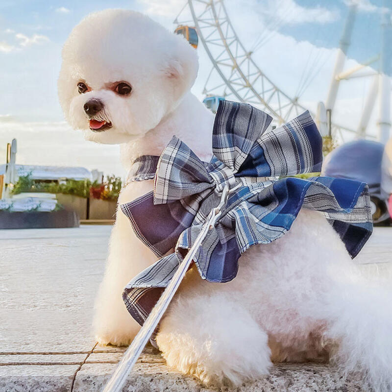 

Pet One-Piece Harness + Leash (M) (Blue)