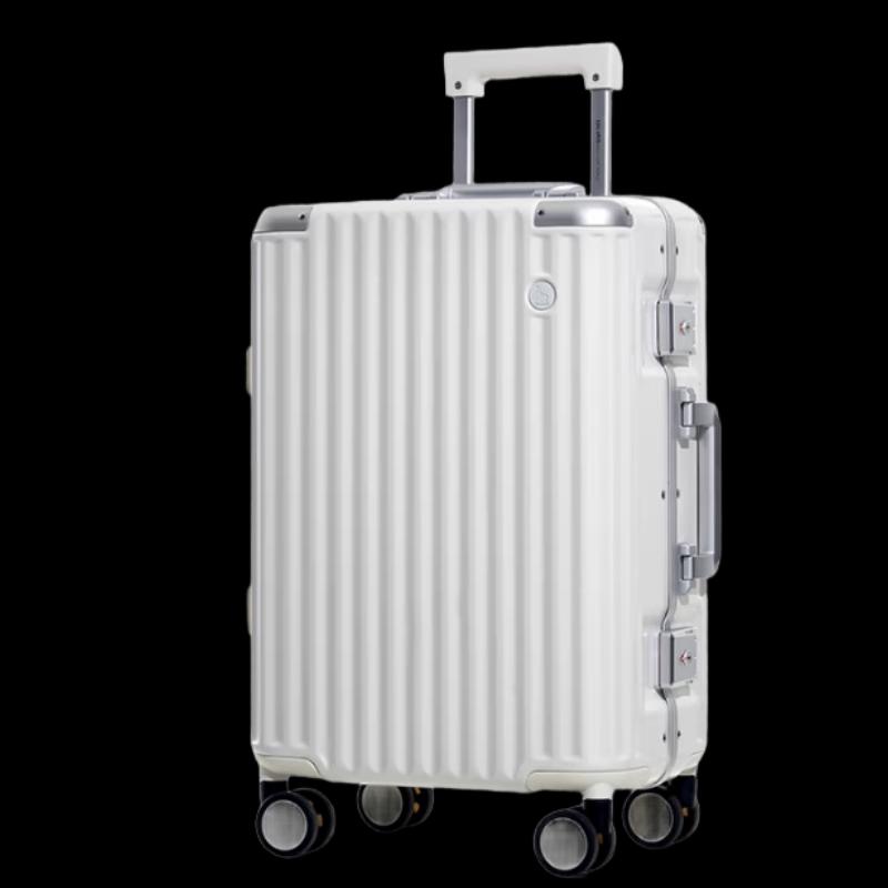 Aiwaishi Business Travel Suitcase 20 inch