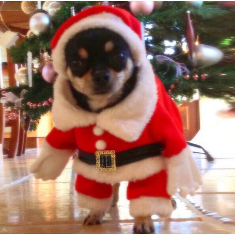 Pet Christmas Costume Set Dogs Cats - Red White Cosplay Outfit Cotton XS To XL