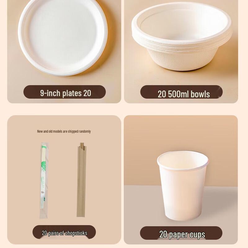 Degradable Disposable Pulp Paper Bowls