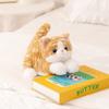 35/45CM Cute Simulated Cat Doll Plush Toy Stuffed Soft Animal Plush Color Kitten Pillow Kids Girls Birthday Gift Pet Toys