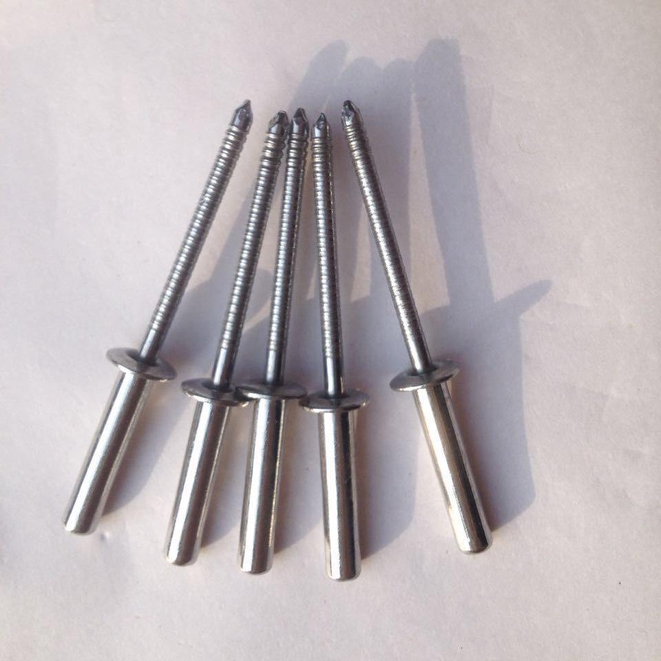 304 Stainless Steel Waterproof Flat Round Head Rivets
