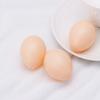 Plastic Fake Dummy Egg 5pcs Hen Poultry Chicken Layer Coop Hatching Simulation