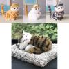 Compagno Perfetto Per Gli Anziani Gatti di Peluche Realistici Per Comfort e Compagnia